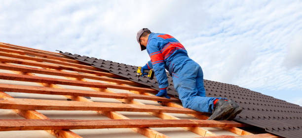 Best Storm Damage Roof Repair  in Oak Forest, IL