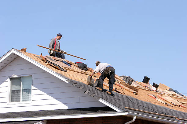 Best Rubber Roofing (EPDM, TPO)  in Oak Forest, IL