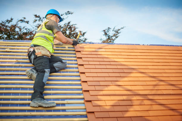 Best Chimney Flashing Repair  in Oak Forest, IL