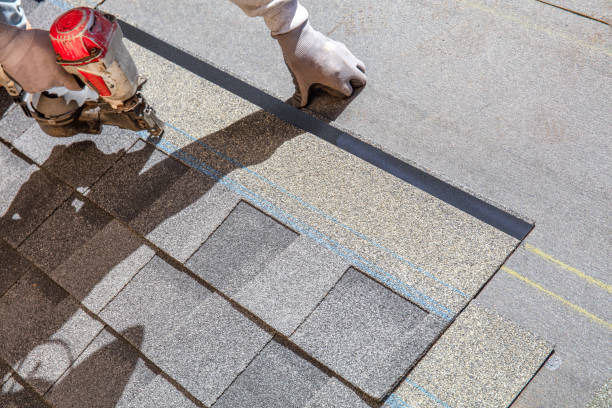 Best Roof Insulation Installation  in Oak Forest, IL